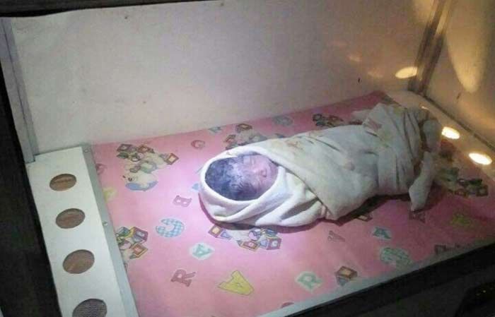 Bayi Berlumuran Darah Gegerkan Warga Kedungsekar Benjeng Gresik Bayi Berlumuran Darah Gegerkan Warga Kedungsekar Benjeng Gresik