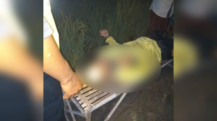 Pencari Katak di Benjeng Gresik Tewas Tersengat Listrik Jebakan Tikus Pencari Katak di Benjeng Gresik Tewas Tersengat Listrik Jebakan Tikus