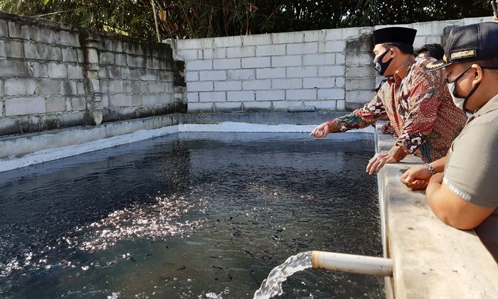 Gagas Program Makan Ikan Gratis, BHS Siap Kembangkan Budidaya Lele di Tarik Gagas Program Makan Ikan Gratis, BHS Siap Kembangkan Budidaya Lele di Tarik