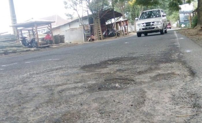 Sering Makan Korban, Pengendara Diimbau Waspadai Jalur Sering Makan Korban, Pengendara Diimbau Waspadai Jalur