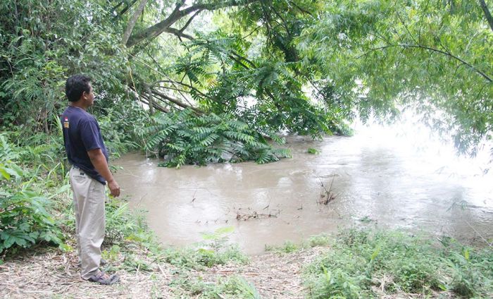 Waspada Banjir! Debit Sungai Bengawan Madiun dan Bengawan Solo di Ngawi Meningkat