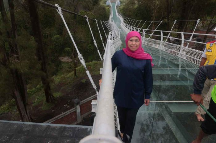 Gubernur Khofifah Sebut Jembatan Kaca Seruni Point Jadi Primadona di Kawasan Bromo Gubernur Khofifah Sebut Jembatan Kaca Seruni Point Jadi Primadona di Kawasan Bromo