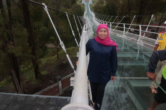 Gubernur Khofifah Sebut Jembatan Kaca Seruni Point Jadi Primadona di Kawasan Bromo