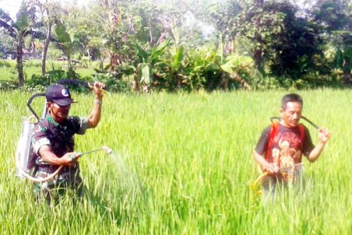 Rakit Alat Semprot Otomatis, Pelda Soirin Terima Penghargaan dari Kasad Rakit Alat Semprot Otomatis, Pelda Soirin Terima Penghargaan dari Kasad