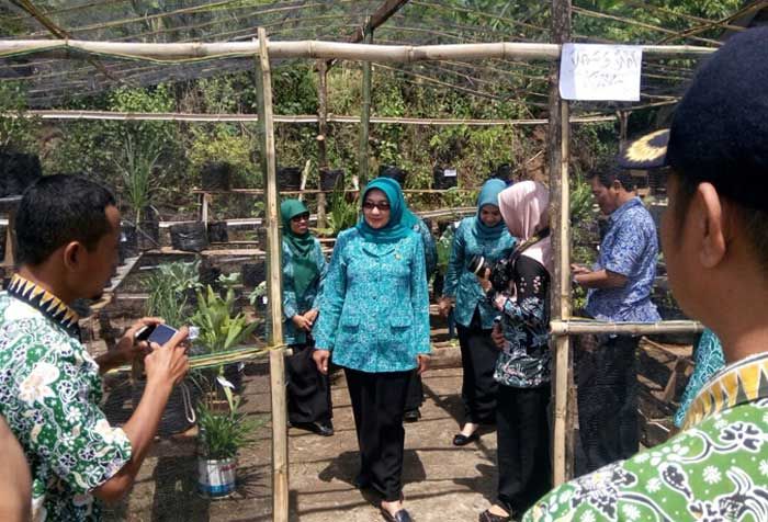 Persiapan Lomba Clean and Green, Ketua PKK Tuban Monitoring 4 Desa di Senori Persiapan Lomba Clean and Green, Ketua PKK Tuban Monitoring 4 Desa di Senori