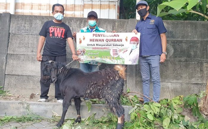 Anggota DPR RI Indah Kurnia Bagikan Hewan Kurban di Sidoarjo dan Surabaya Anggota DPR RI Indah Kurnia Bagikan Hewan Kurban di Sidoarjo dan Surabaya