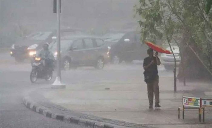 Selain Butiran Es, Hujan Deras di Sidoarjo Akibatkan Pohon Tumbang hingga Macet Selain Butiran Es, Hujan Deras di Sidoarjo Akibatkan Pohon Tumbang hingga Macet
