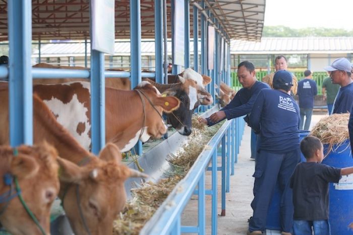 Pemkab Tuban Apresiasi Program CSR Inovatif Si Pandu dan Desi yang Diusung PLN Nusantara Power Pemkab Tuban Apresiasi Program CSR Inovatif Si Pandu dan Desi yang Diusung PLN Nusantara Power
