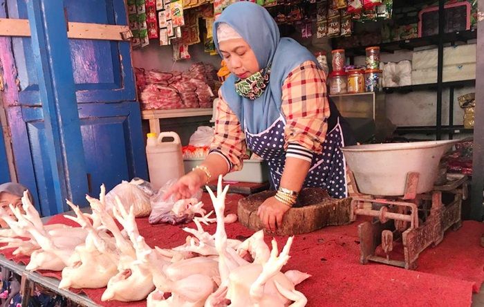 Dampak PPKM Darurat, Harga Ayam Potong di Jember Turun Drastis