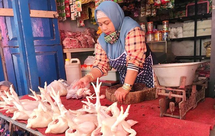 Dampak PPKM Darurat, Harga Ayam Potong di Jember Turun Drastis Dampak PPKM Darurat, Harga Ayam Potong di Jember Turun Drastis