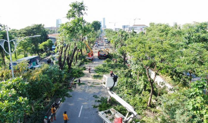 ​Hasil Perantingan Besar-besaran di Jalan A. Yani Bakal Dijadikan Pupuk dan Kerajinan Tangan