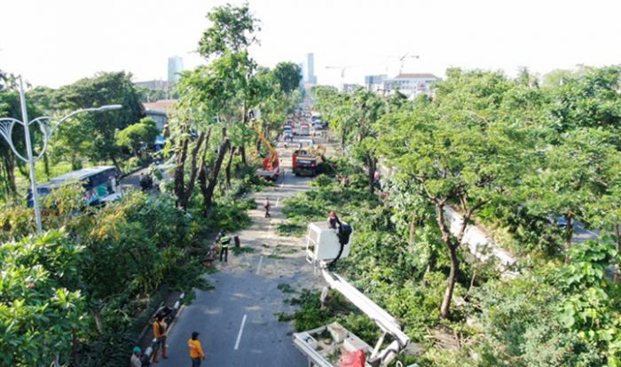 Hasil Perantingan Besar-besaran di Jalan A. Yani Bakal Dijadikan Pupuk dan Kerajinan Tangan Hasil Perantingan Besar-besaran di Jalan A. Yani Bakal Dijadikan Pupuk dan Kerajinan Tangan