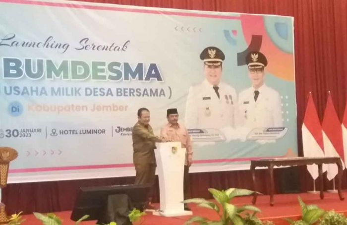 Bupat Jember Launching BUMDesma, ini Perbedaannya dengan BUMDes