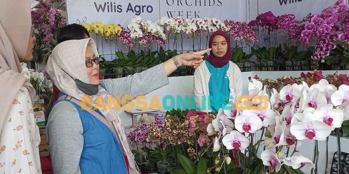 Pengunjung Batu Shining Orchids Week 2023. Foto: ADI WIYONO/BANGSAONLINE