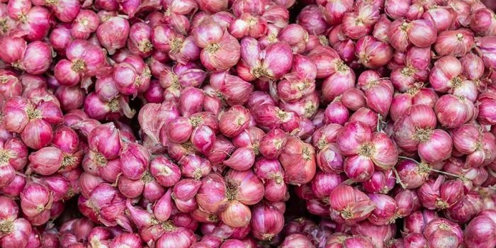 harga-sembako-jatim-sabtu-10-mei-2025-bawang-merah-rp35-923kg-ayam-kampung-rp67-798kg