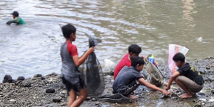 Sekelompok anak-anak sedang asyik memunguti ikan hasil dari gropyok ikan di Sumber Jembangan. Foto: MUJI HARJITA/ BANGSAONLINE