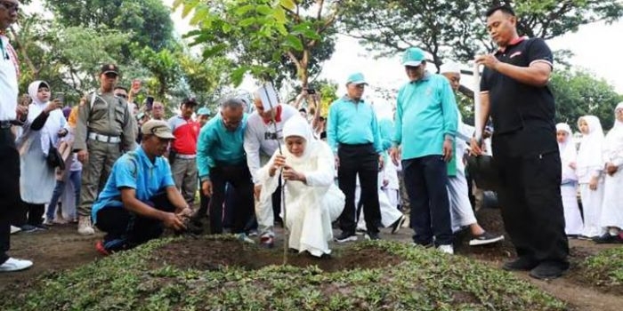Gubernur Jatim, Khofifah Indar Parawansa melakukan penanaman bibit buah Matoa, yang merupakan pohon khas Papua, di halaman Edu Park, kompleks Masjid Nasional Al-Akbar Surabaya, Minggu (1/9). foto: ist