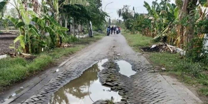 Kondisi jalan rusak di Desa Ngampel, Kecamatan Balongpanggang, Gresik. Foto: Ist