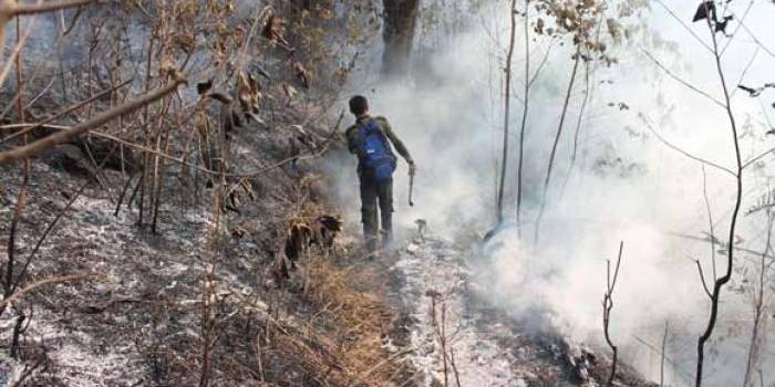 BERASAP: Kondisi hutan Gunung Lawu yang masih tampak mengeluarkan asap, Senin (19/10) siang. Foto: zainal abidin/BANGSAONLINE