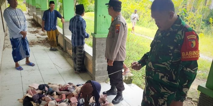 sempat-dipakai-main-anak-anak-ratusan-bh-ditemukan-di-eks-gedung-sd-krangkong-bojonegoro