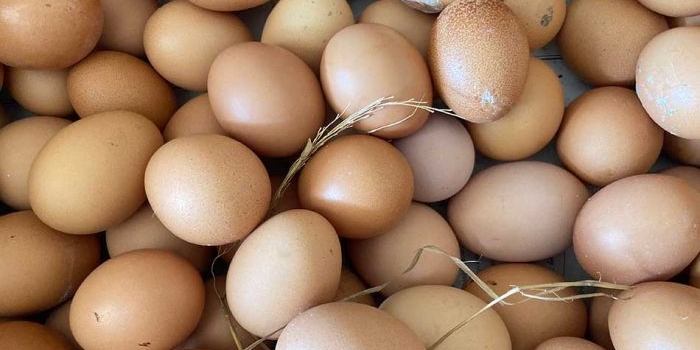 harga-sembako-jatim-hari-ini-telur-rp26-303kg-daging-sapi-rp118-732kg