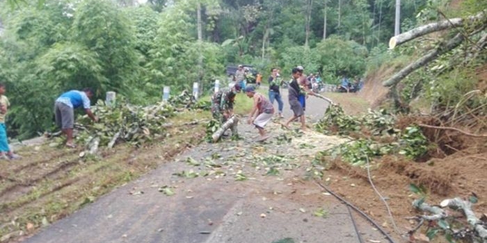 Personel Babinsa dan Bhabinkamtibmas bersama warga sedang membersihkan pohon tumbang.