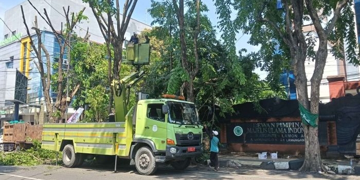 BPBD Lamongan bersama OPD terkait saat memangkas ranting pohon untuk mencegah pohon tumbang saat cuaca esktrem