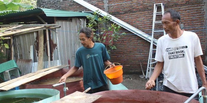 budidaya-lele-jadi-penopang-pangan-rumah-lansia-gusdurian-pare