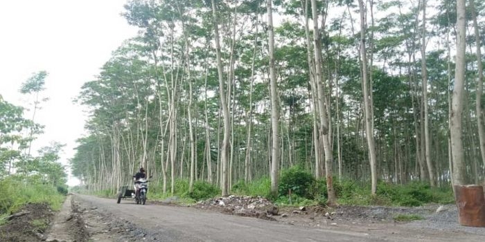 tmmd-kediri-jalan-tembus-16-km-di-desa-gadungan-capai-60-persen