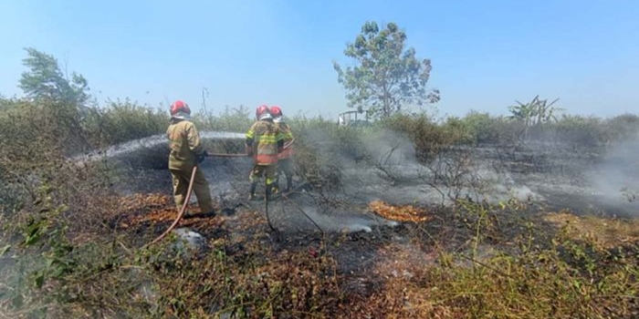 musim-kemarau-bpbd-bojonegoro-imbau-warga-waspada-karhutla