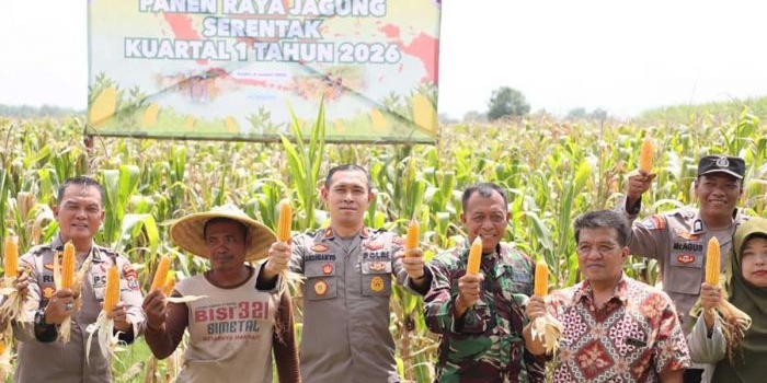 panen-raya-jagung-serentak-wakapolres-kediri-kota-bilang-begini