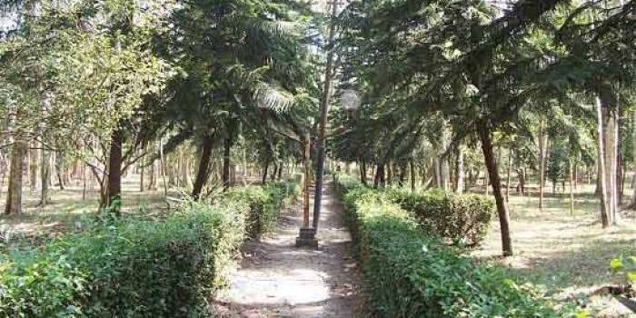 Hutan Malabar yang rencananya akan direvitalisasi. (foto: wikimapia)