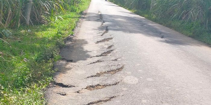 Salah satu ruas jalan di Kabupaten Jember yang baru saja diperbaiki, tapi sudah rusak lagi.