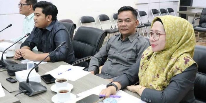 dprd-gresik-target-pad-parkir-tepi-jalan-rp64-miliar-dipastikan-tak-tercapai
