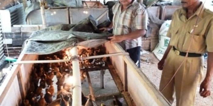 Muslimin, Ketua kelompok peternak bebek, bersama aparatur Desa Wonoayu Sidoarjo. (foto:agus hp/BANGSAONLINE)

?