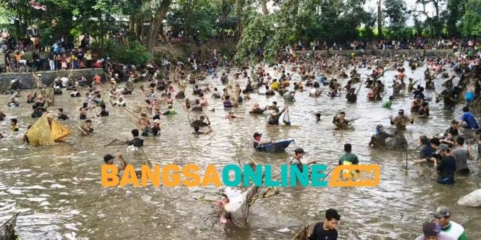 ribuan-warga-tanjung-ikut-tradisi-gobyak-ikan-di-sumber-gundi-kediri