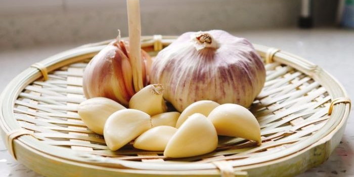 Bisakah Bawang Putih Sembuhkan Sakit Gigi? Simak Penjelasannya. Foto: Ist