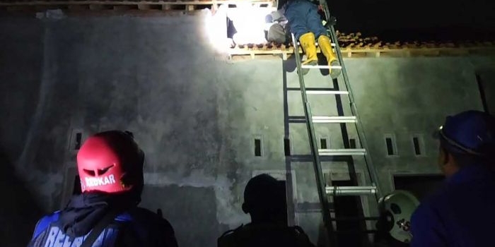 damkar-kabupaten-pasuruan-evakuasi-sarang-tawon-vespa-raksasa-di-wonogriyo