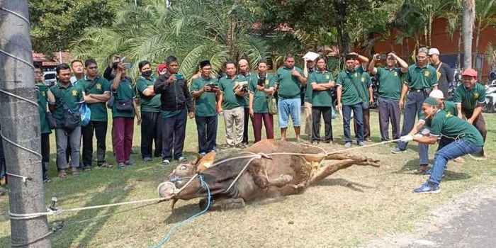 jelang-iduladha-dkpp-dan-juleha-gelar-pelatihan-penyembelihan-untuk-takmir-di-kota-kediri