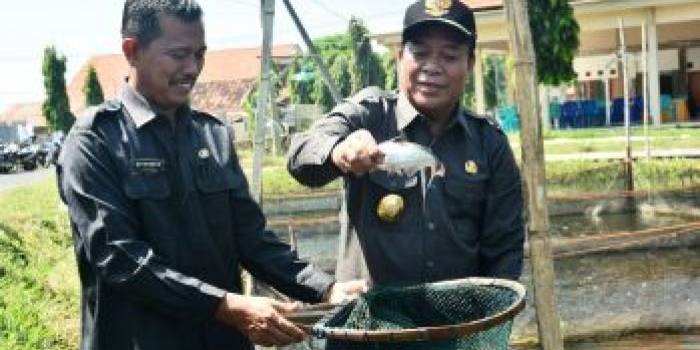 Bupati Fadeli saat melihat Ikan Patin yang baru berusia dua bulan. foto: haris/BANGSAONLINE