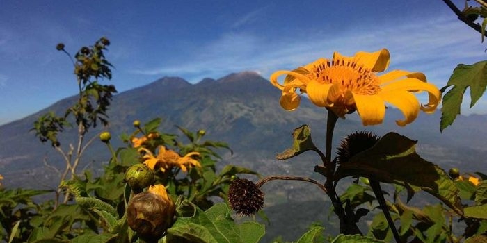 Gunung Arjuno dan Gunung Welirang dipotret dari Gunung Penanggungan. Foto: M. SULTHON NEAGARA/ BANGSAONLINE