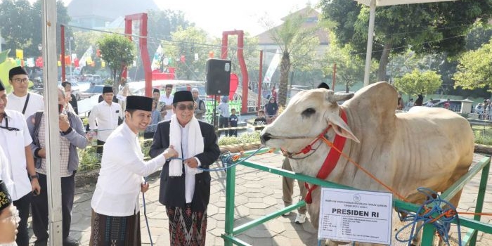 salat-iduladha-di-masjid-al-akbar-bareng-keluarga-plt-gubernur-jatim-ajak-hayati-spirit-berkurban