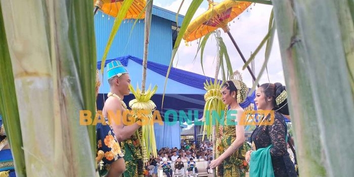 Tradisi Manten Tebu di Pabrik Gula Rejoso Manis Indo, Kabupaten Blitar. Foto: AKINA NUR ALANA/BANGSAONLINE