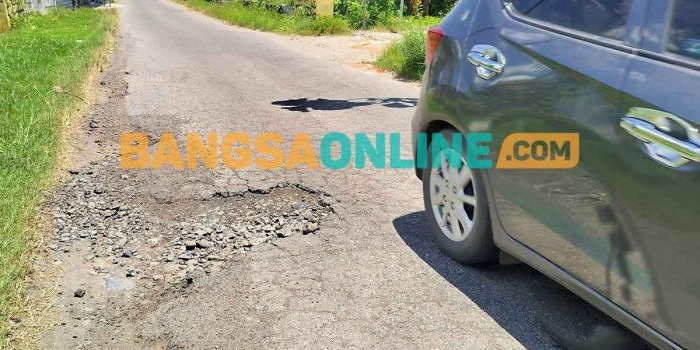 Jalan Berlubang di Desa Ngudirejo, Kecamatan Diwek, Jombang. Foto: AAN AMRULLOH/BANGSAONLINE