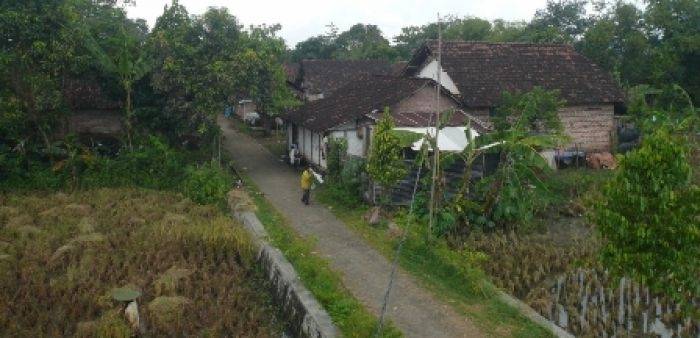Kawasan Rowosapen yang belum teraliri listrik. foto: Zuli Purwanto/BangsaOnline.com