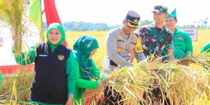 merespons-penambahan-pupuk-bersubsidi-khofifah-sebut-kabar-gembira-bagi-petani-jatim