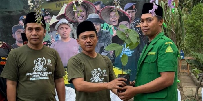 dukung-program-ketahanan-pangan-ansor-jatim-distribusikan-50-ribu-bibit-buah