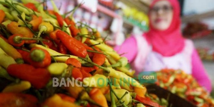 Cabai rawit yang dijual di Pasar Citra Niaga Kabupaten Jombang. 
foto: RONY S/ BANGSAONLINE
