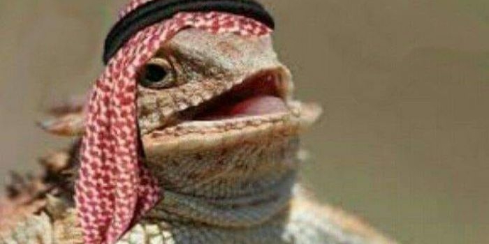 Foto ini diambil dari saudinesia.com. Dalam caption saudinesia.com tertulis: Foto diambil dari media anti Arab (dibaca anti sunnah)
