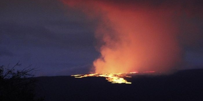 Fakta Gunung Mauna Loa yang Terbesar di Dunia. Foto: Ist